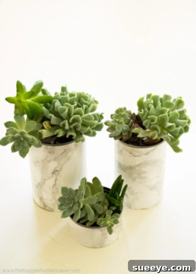 DIY Faux Marble Ideas - Faux Marble Succulent Planters - Easy Crafts and DIY Projects With Faux Marbling Tutorials - Paint and Decorate Home Decor, Creative DIY Gifts and Office Accessories Faux Marble Succulent Planters - DIY Planter Ideas for Stylish Indoor Gardening and Modern Home Accents