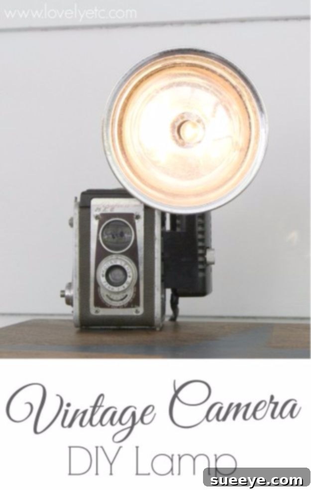 Repurposed Vintage Camera Lamp Vintage Camera DIY Lamp - unique antique photography lighting