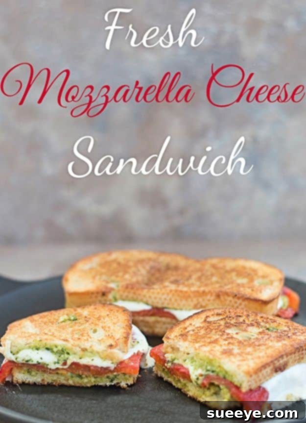 Best Brunch Recipes - Fresh Mozzarella Cheese Sandwich - Eggs, Pancakes, Waffles, Casseroles, Vegetable Dishes and Side, Potato Recipe Ideas for Brunches - Serve A Crowd and Family with the versions of Eggs Benedict, Mimosas, Muffins and Pastries, Desserts - Make Ahead , Slow Cooler and Healthy Casserole Recipes #brunch #breakfast #recipes Best Brunch Recipes - Fresh Mozzarella Cheese Sandwich - Eggs, Pancakes, Waffles, Casseroles, Vegetable Dishes and Side, Potato Recipe Ideas for Brunches - Serve A Crowd and Family with the versions of Eggs Benedict, Mimosas, Muffins and Pastries, Desserts - Make Ahead , Slow Cooler and Healthy Casserole Recipes #brunch #breakfast #recipes