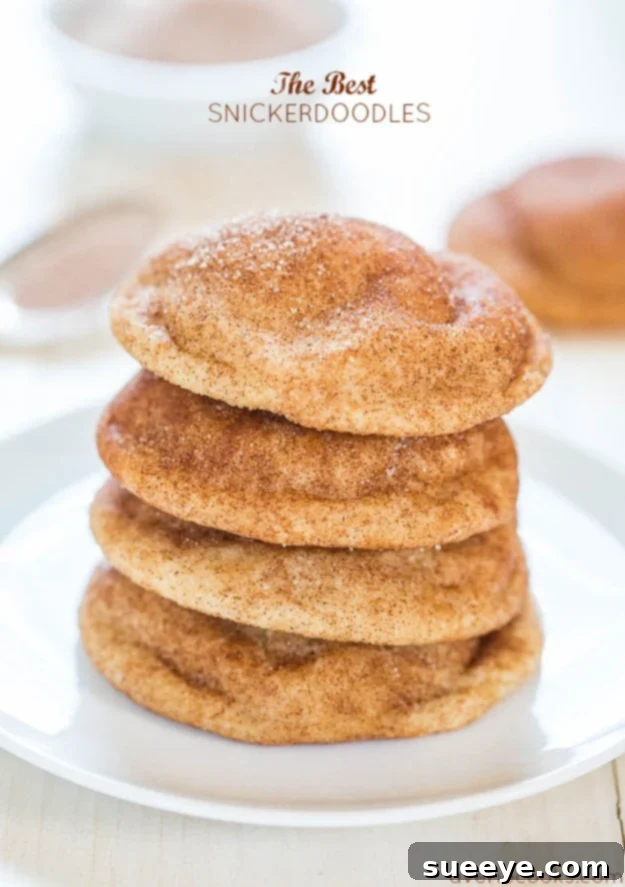Copycat Auntie Anne's Snickerdoodles