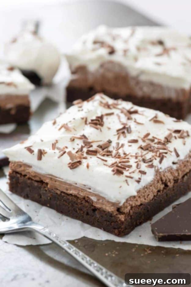 Brownie Recipes | French Silk Brownies - Easy and Healthy Recipe Ideas for Brownies - Chocolate, Blondies, Gluten Free and Caramel Brownie Recipes | French Silk Brownies - Easy and Healthy Recipe Ideas for Brownies - Chocolate, Blondies, Gluten Free and Caramel
