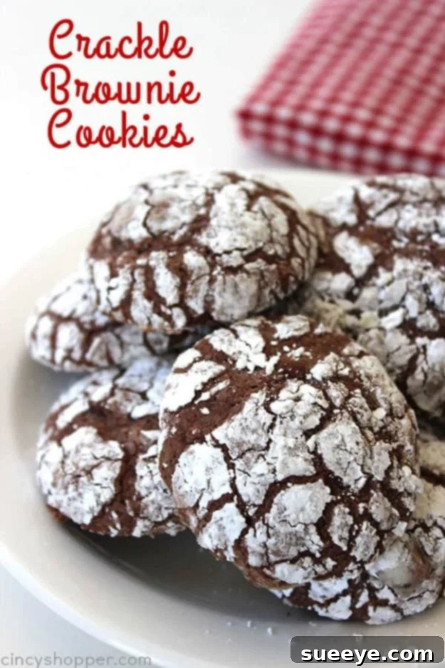 Brownie Recipes | Chocolate Crinkle Brownie Cookies - Easy and Healthy Recipe Ideas for Brownies - Chocolate, Blondies, Gluten Free and Caramel Brownie Recipes | Chocolate Crinkle Brownie Cookies - Easy and Healthy Recipe Ideas for Brownies - Chocolate, Blondies, Gluten Free and Caramel