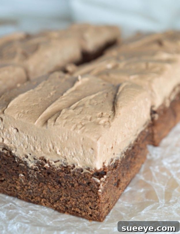 Brownie Recipes | Irish Cream Chocolate Brownie - Easy and Healthy Recipe Ideas for Brownies - Chocolate, Blondies, Gluten Free and Caramel Brownie Recipes | Irish Cream Chocolate Brownie - Easy and Healthy Recipe Ideas for Brownies - Chocolate, Blondies, Gluten Free and Caramel