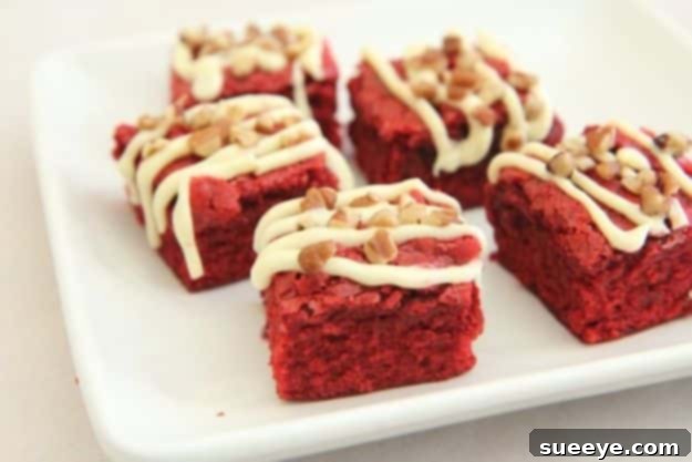 Brownie Recipes | Chewy Red Velvet Brownies - Easy and Healthy Recipe Ideas for Brownies - Chocolate, Blondies, Gluten Free and Caramel img 73132 36