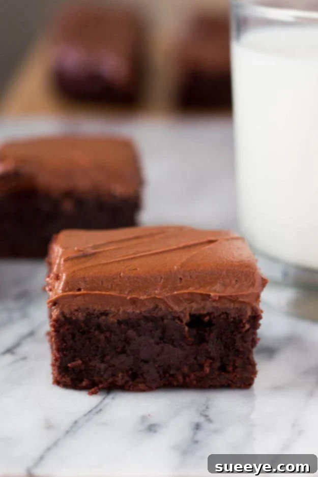Brownie Recipes | Fudge Brownies with Chocolate Frosting - Easy and Healthy Recipe Ideas for Brownies - Chocolate, Blondies, Gluten Free and Caramel Brownie Recipes | Fudge Brownies with Chocolate Frosting - Easy and Healthy Recipe Ideas for Brownies - Chocolate, Blondies, Gluten Free and Caramel
