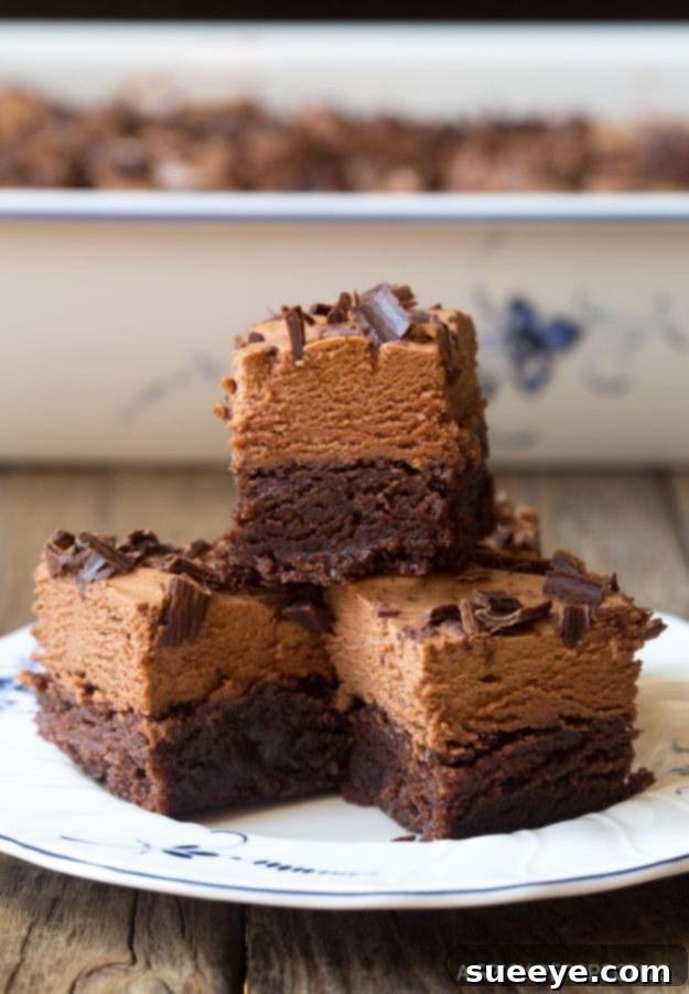 Brownie Recipes | French Silk Chocolate Brownies - Easy and Healthy Recipe Ideas for Brownies - Chocolate, Blondies, Gluten Free and Caramel Brownie Recipes | French Silk Chocolate Brownies - Easy and Healthy Recipe Ideas for Brownies - Chocolate, Blondies, Gluten Free and Caramel