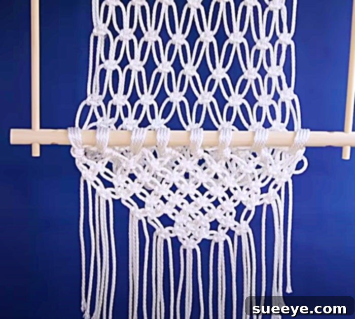 Detail of Macrame Knots on a Hanging Chair