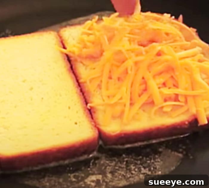 Caramelized Cheese Sandwich 2 Homemade Grill Cheese - Easy Lunch Ideas - Kids Recipe