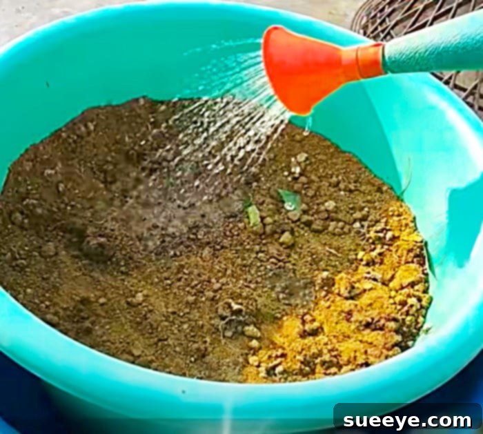 Composting Kitchen Scraps 3 How To Make Compost - How To Grow Plants - Kitchen Compost Ideas