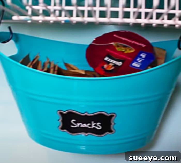 Transform Your Laundry & Pantry with Dollar Tree 2 Dollar Tree Laundry Room Makeover - Dollar Tree Storage - Easy Organizing Ideas