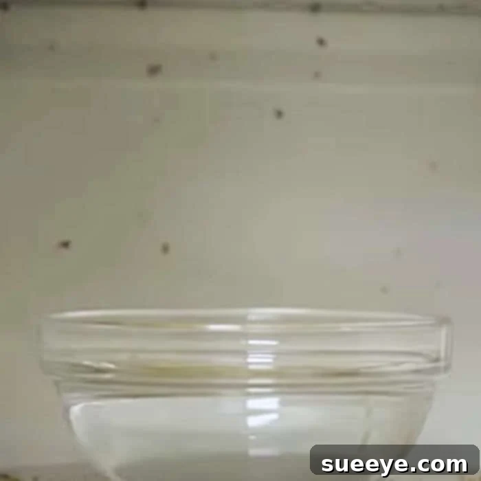 Natural Microwave Cleaning Hacks 2 Clean A Microwave Naturally - Chemical Free Cleaning Ideas - Easy Way To Clean A Microwave