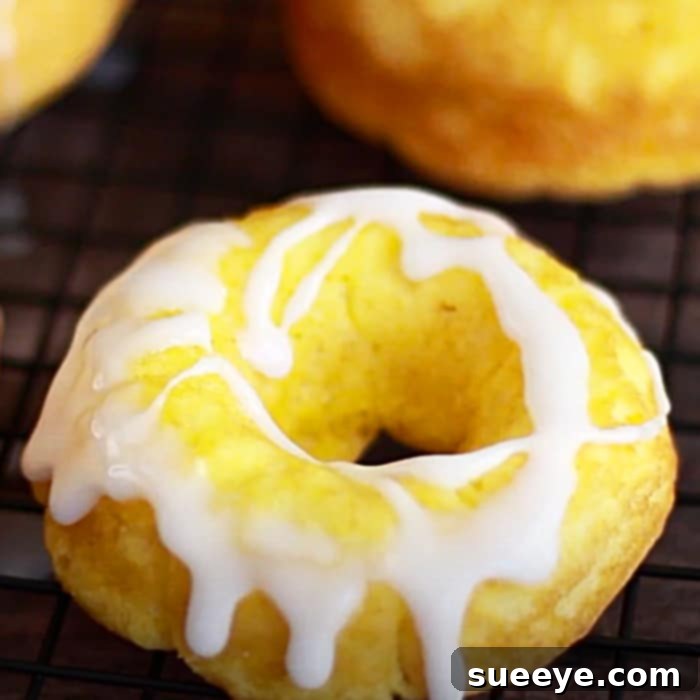 Effortless Cake Mix Donuts 3 Cake Mix Donuts Recipe - How To make Cake Mix Donuts - Easy Snack Ideas