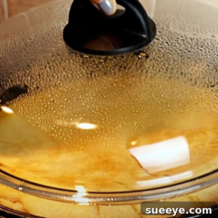 Delicious Homemade Stovetop Bread Recipe 3 Homemade Pan Bread Recipe - How To make Bread On The Stovetop - Skillet Bread Recipe