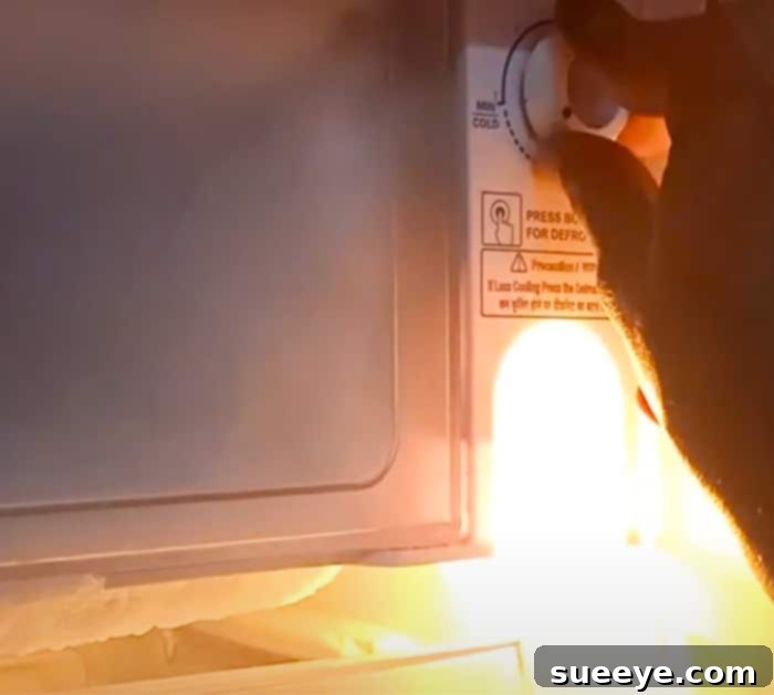 1-Minute Ice Removal Hack 2 DIY Freezer Defrost Hack: Melt Ice from Freezer using Hot Water in 1 Minute
