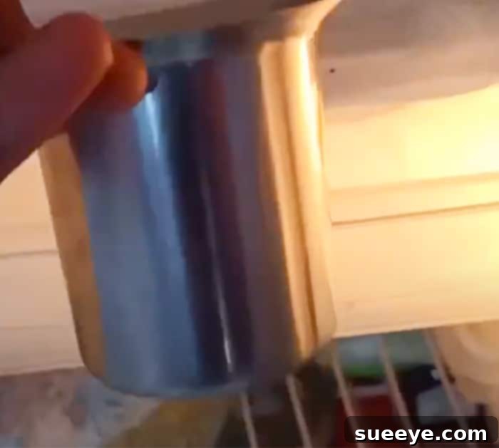 1-Minute Ice Removal Hack 3 How To Defrost Ice From Freezer - Kitchen Cleaning Tips and Tricks using hot water