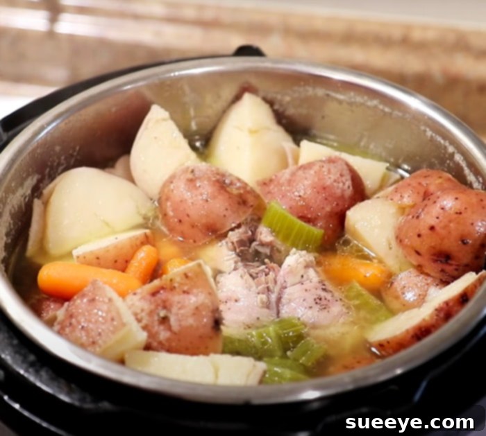 Hearty Instant Pot Chicken Vegetable Soup in Minutes 2 How To Make Instant Pot Soup - Instant Pot Soup - Chicken Vegetable Soup