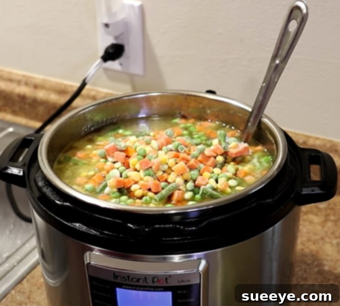 Hearty Instant Pot Chicken Vegetable Soup in Minutes 3 How to Make Instant Pot Chicken Vegetable Soup - Easy Cooking - Winter soup Recipes