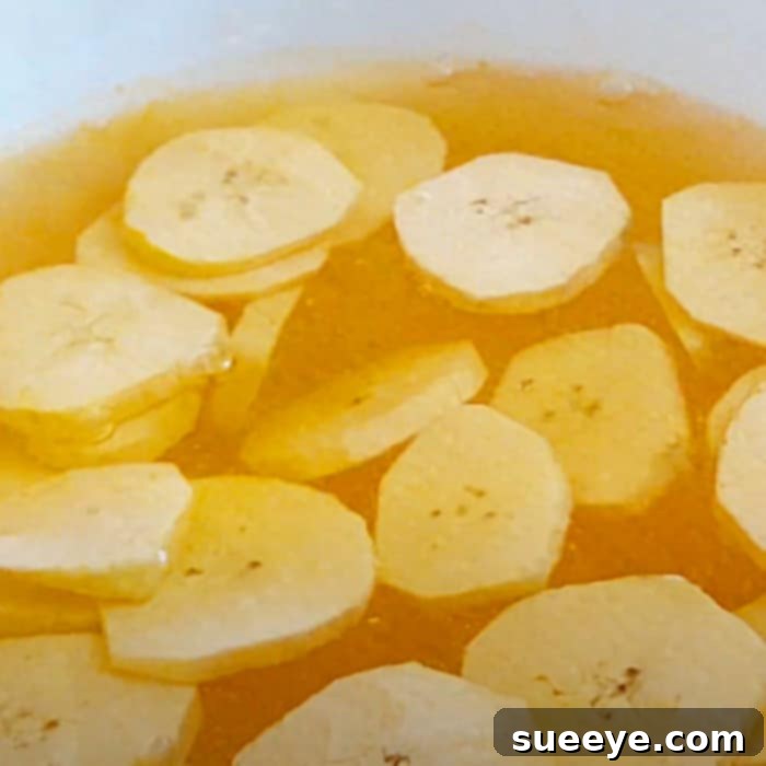 Crispy Air Fryer Banana Chips 2 How To Make Plantain Chips - Healthy Snack Ideas - Easy Air fryer Recipes