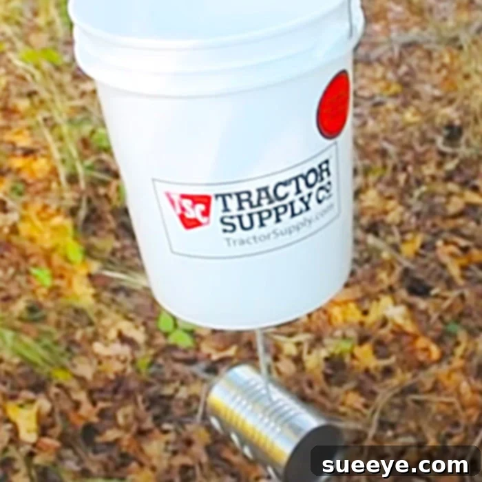 Wild Animal Feeder - Easy Deer Feeder - Outdoor Ideas