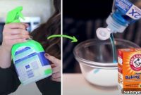 Clean House, Full Wallet: 7 DIY Solutions