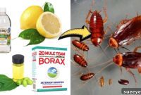 Say Goodbye to Cockroaches Natural Secrets for Permanent Removal
