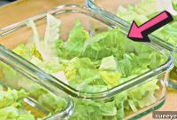 Preserving Lettuce: A Week-Long Freshness Guide