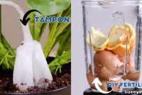 6 Genius Plant Parenting Hacks