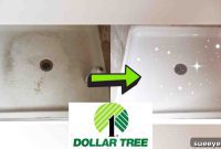 The Dollar Tree Secret to a Sparkling Shower