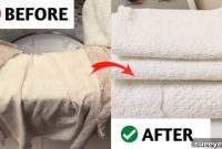 Bleach-Free Brilliance: Whiten Clothes Naturally