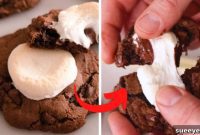 Decadent Hot Chocolate Cookies