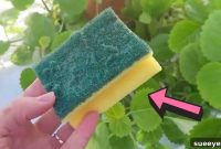 Beyond The Sink: Amazing Uses For Old Sponges
