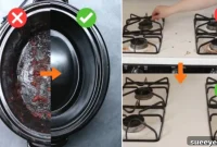 Genius Grease Removal Tips You Haven’t Tried Yet