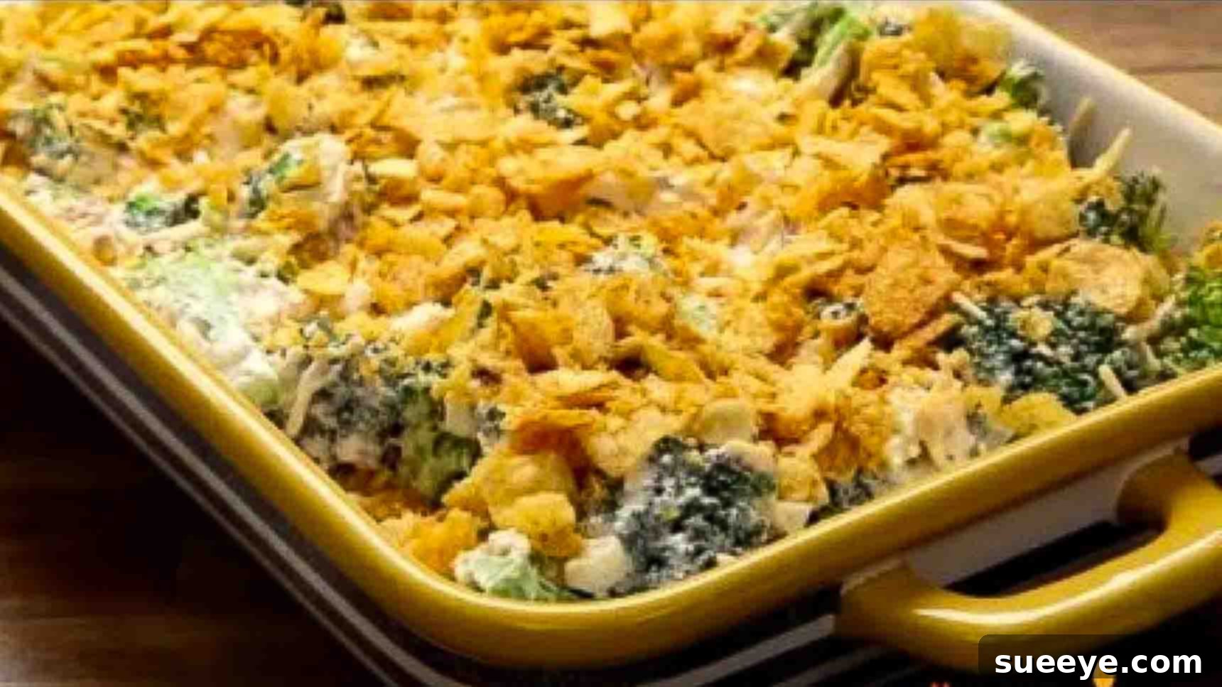 featured 138363