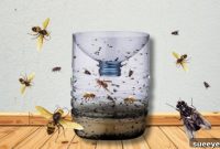 Create a Powerful Homemade Hornet and Fly Trap