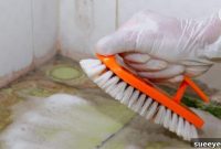 8 Natural Ways to Banish Mold for Good