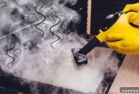 The Ultimate Kitchen Cleaning Secret