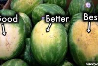 The Secret to Choosing a Perfectly Sweet Watermelon