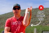 Smart Ways to Wrap Cords Without Tangles