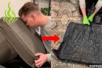 Reclaim Freshness For Your Sofa Cushions