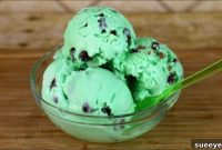 No-Churn Mint Chocolate Chip Ice Cream