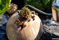 Garden Orb Planter Craft