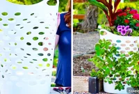 Laundry Basket Strawberry Planter Hack