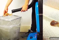 Pantyhose Vacuum Trick for Bed Bug Removal