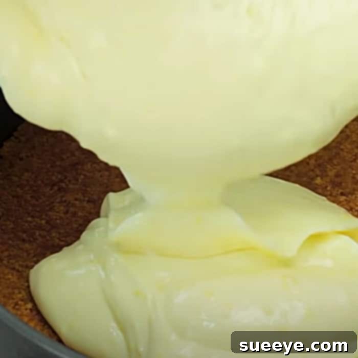 Zesty No-Bake Lemon Cheesecake 2 Lemon Cheesecake Recipe - No Bake Cheesecake Ideas - Easy Dessert Ideas