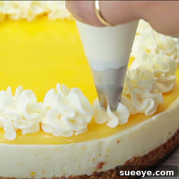 Zesty No-Bake Lemon Cheesecake 3 Lemon Dessert Recipes - Refreshing Summer Cheesecake - No Bake Lemon Cheesecake Recipe
