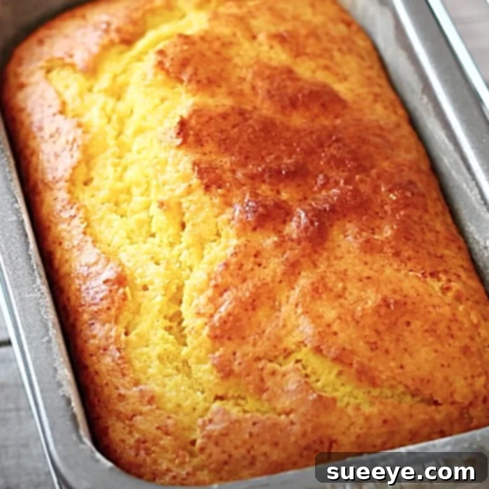 Zesty Orange Loaf Cake 3 Easy Cake Recipe - How To Make A Loaf Cake Easy Orange Cake Recipe