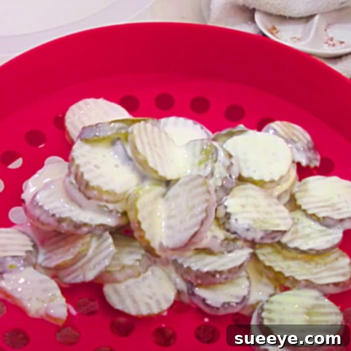 Crispy Hooters Air Fryer Pickles 2 Easy Air Fryer Recipes - Game Day Snacks - Fried Pickle Recipe