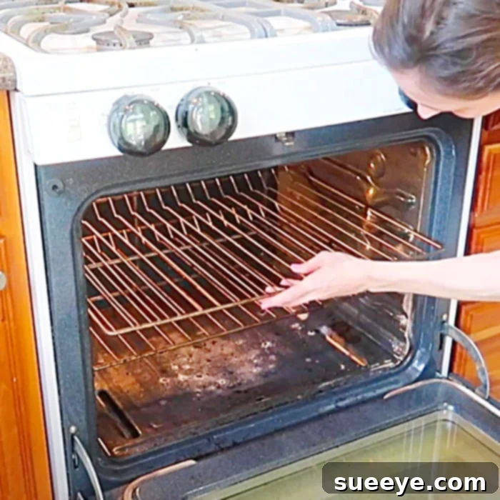 Effortless Oven Rack Cleaning Hacks 2 Clean A Dirty Oven - How To Clean Oven Racks - Bathtub Cleaning For Large Items