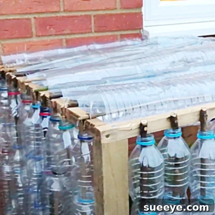 Plastic Bottle Greenhouse Idea - How To Build A Small Greenhouse - Cheap Greenhouse