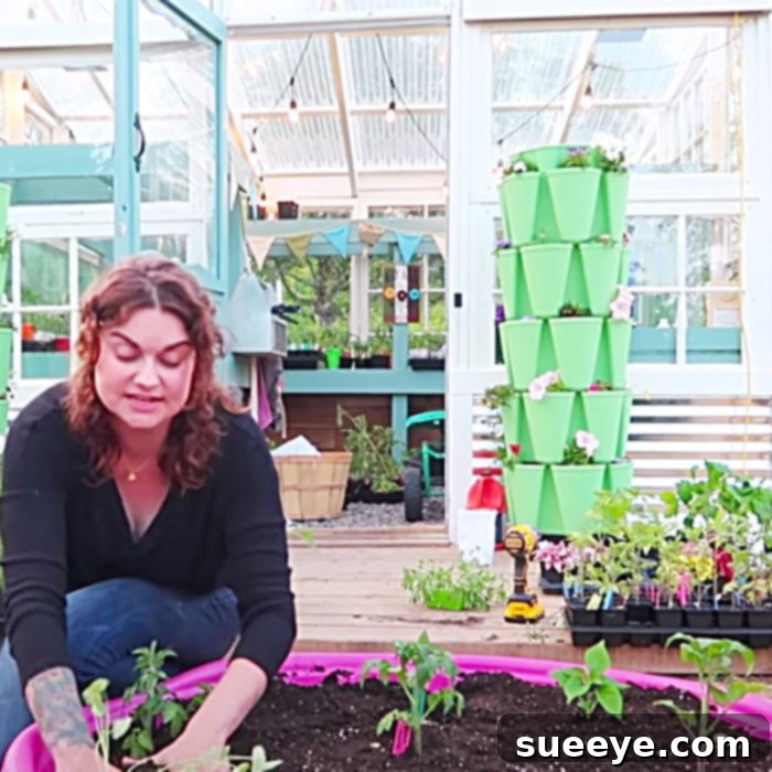 Kiddie Pool Raised Garden: The $7 Upcycle Project 3 A close-up view of a flourishing kiddie pool garden, ideal for apartment dwellers and urban areas, demonstrating how easy it is to grow fresh food in limited spaces.